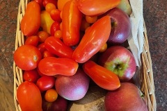 IMG_0111