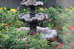 IMG_0232