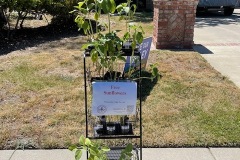 IMG_0935
