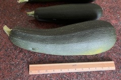 IMG_0945