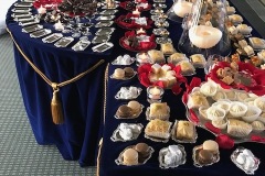 47B361F3-44A1-48FC-B3CB-11C256BB0994