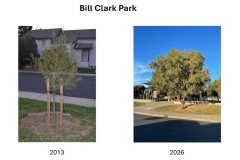 Bill Clark Park