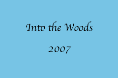 Into-the-Woods-2007
