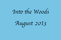 Into the Woods