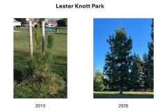 Lester Knott Park