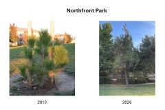 Northfront Park