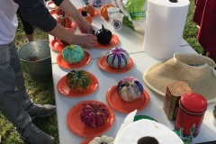 IMG_0890